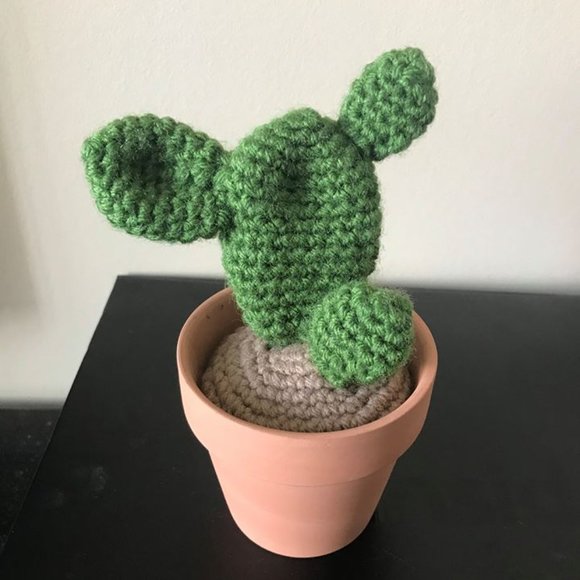 Prickly Pear Cactus Succulent in Clay Planter Pot - Picture 2 of 6